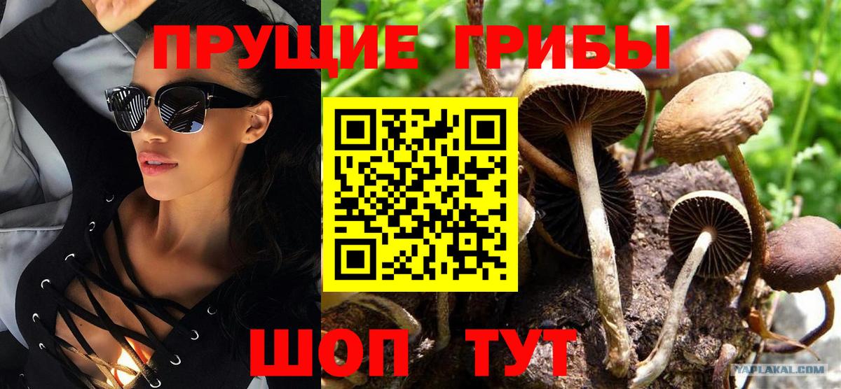 Шахты  где продают наркотики  Вход с VPN  Псилоцибиновые грибы мицелий 