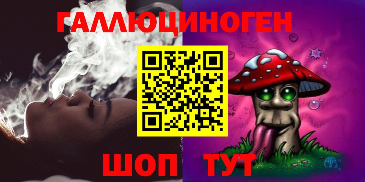 Псилоцибиновые грибы Cubensis Шахты